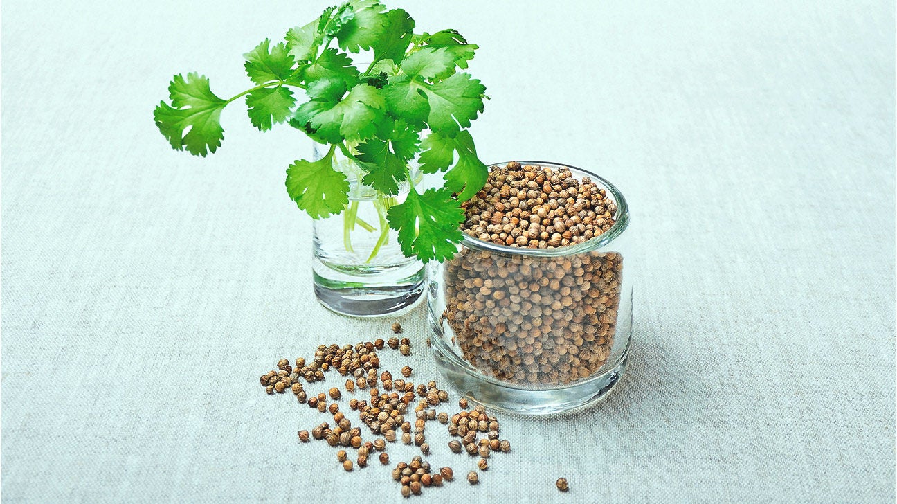 what-is-cilantro-seed-spice