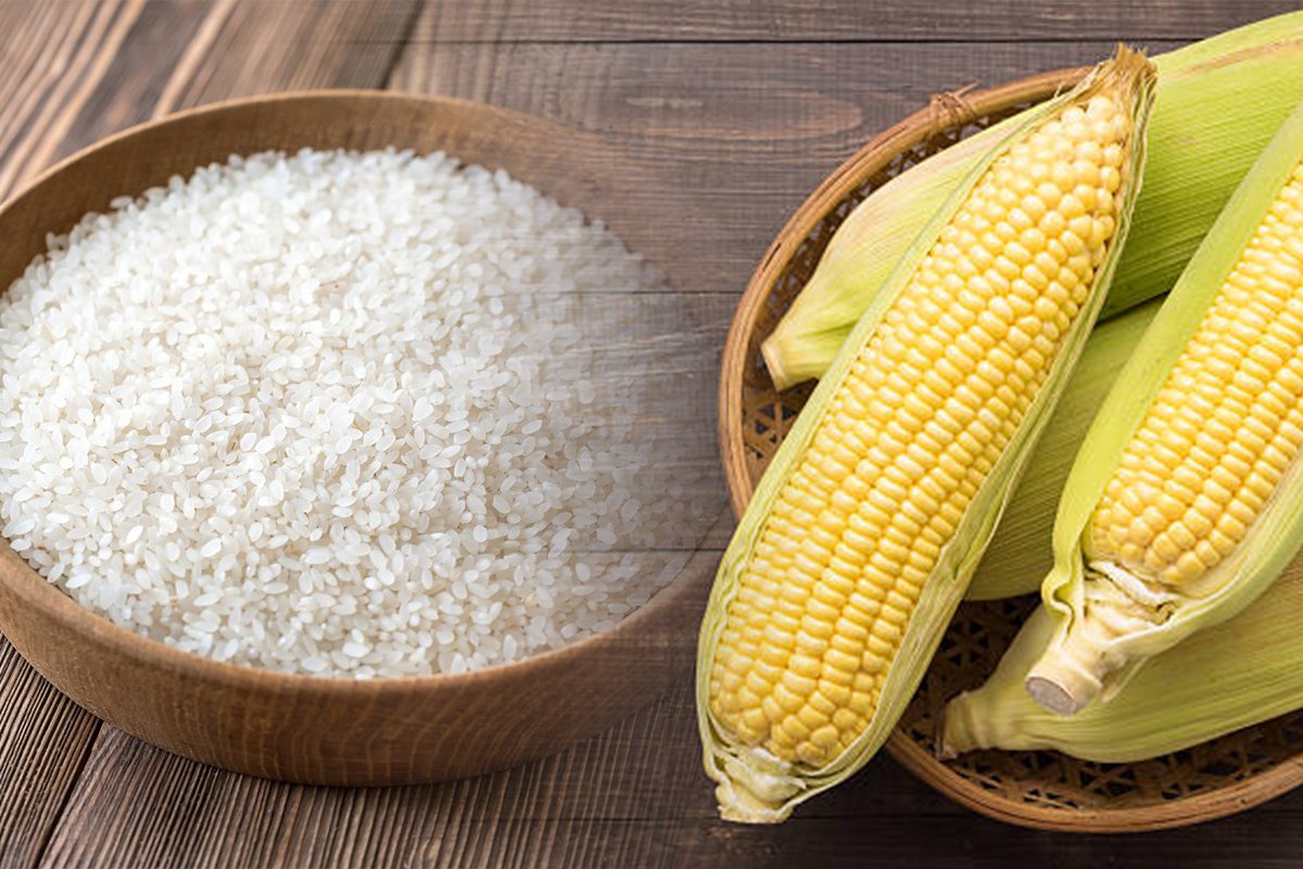 what-is-corn-and-rice