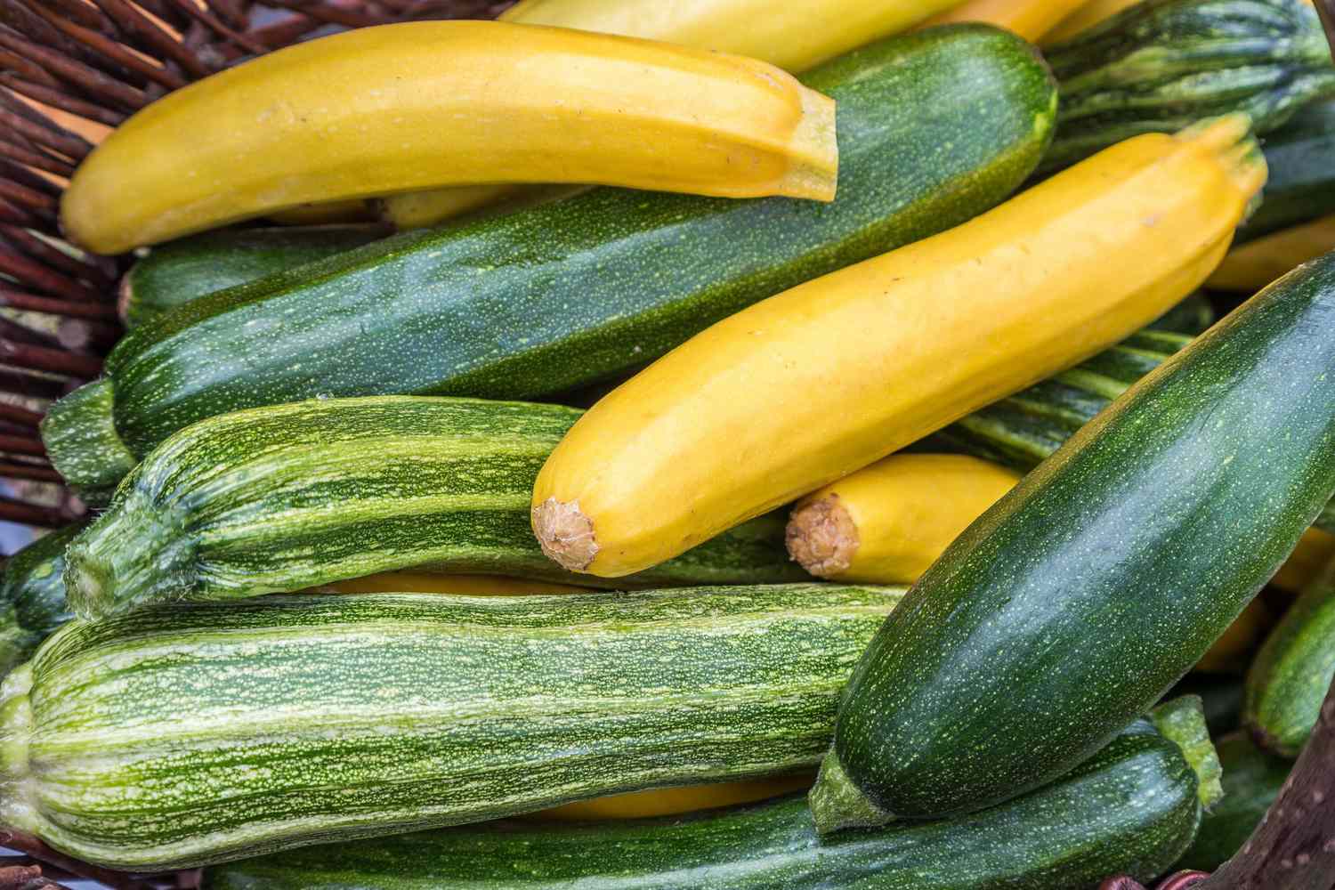what-is-courgette