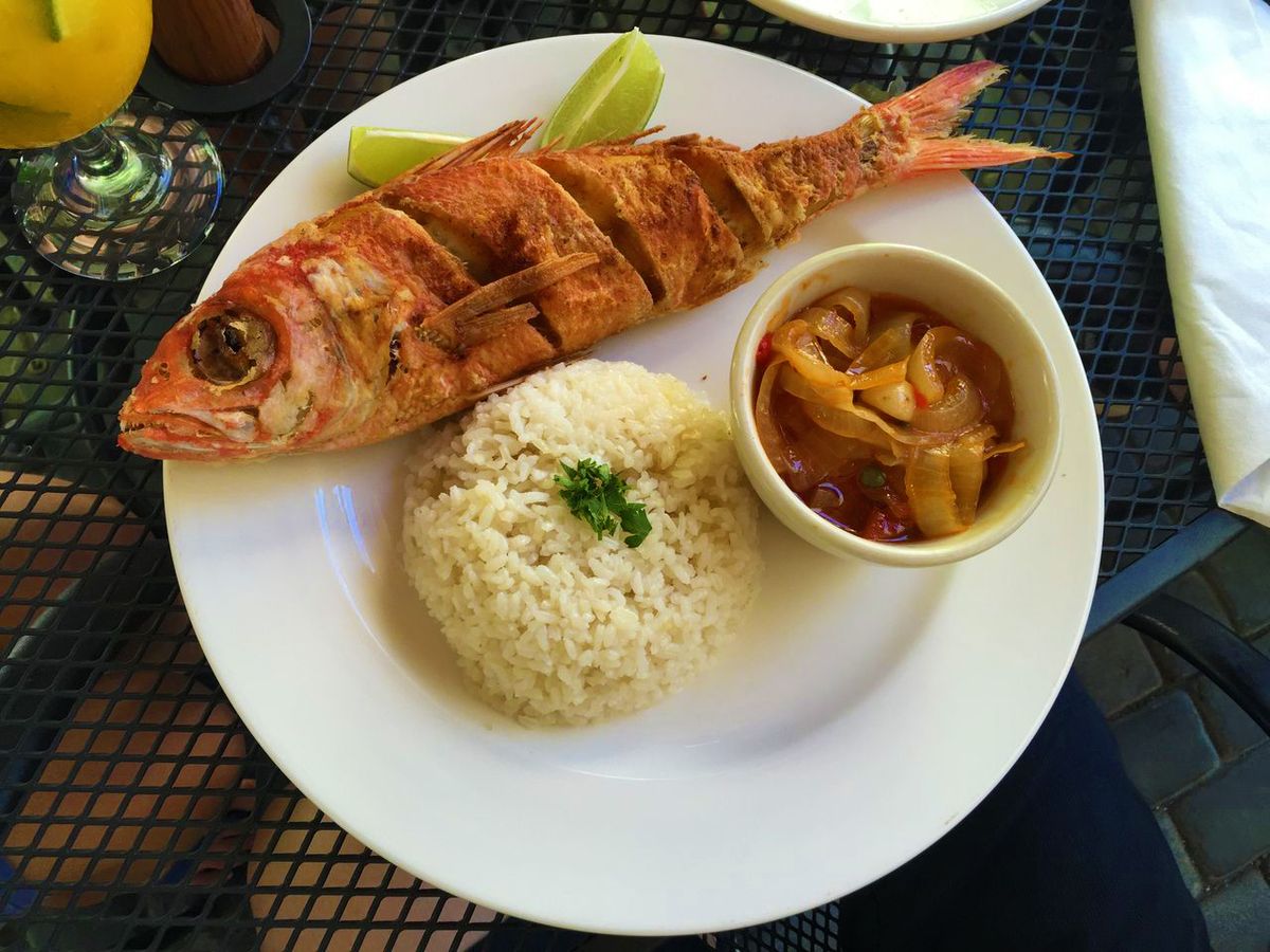 what-is-criollo-fish