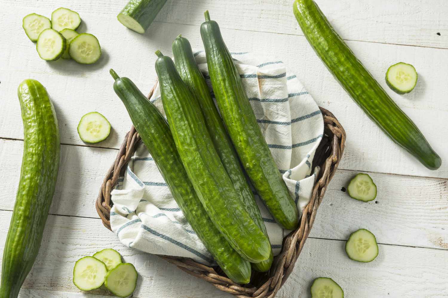 what-is-european-cucumber