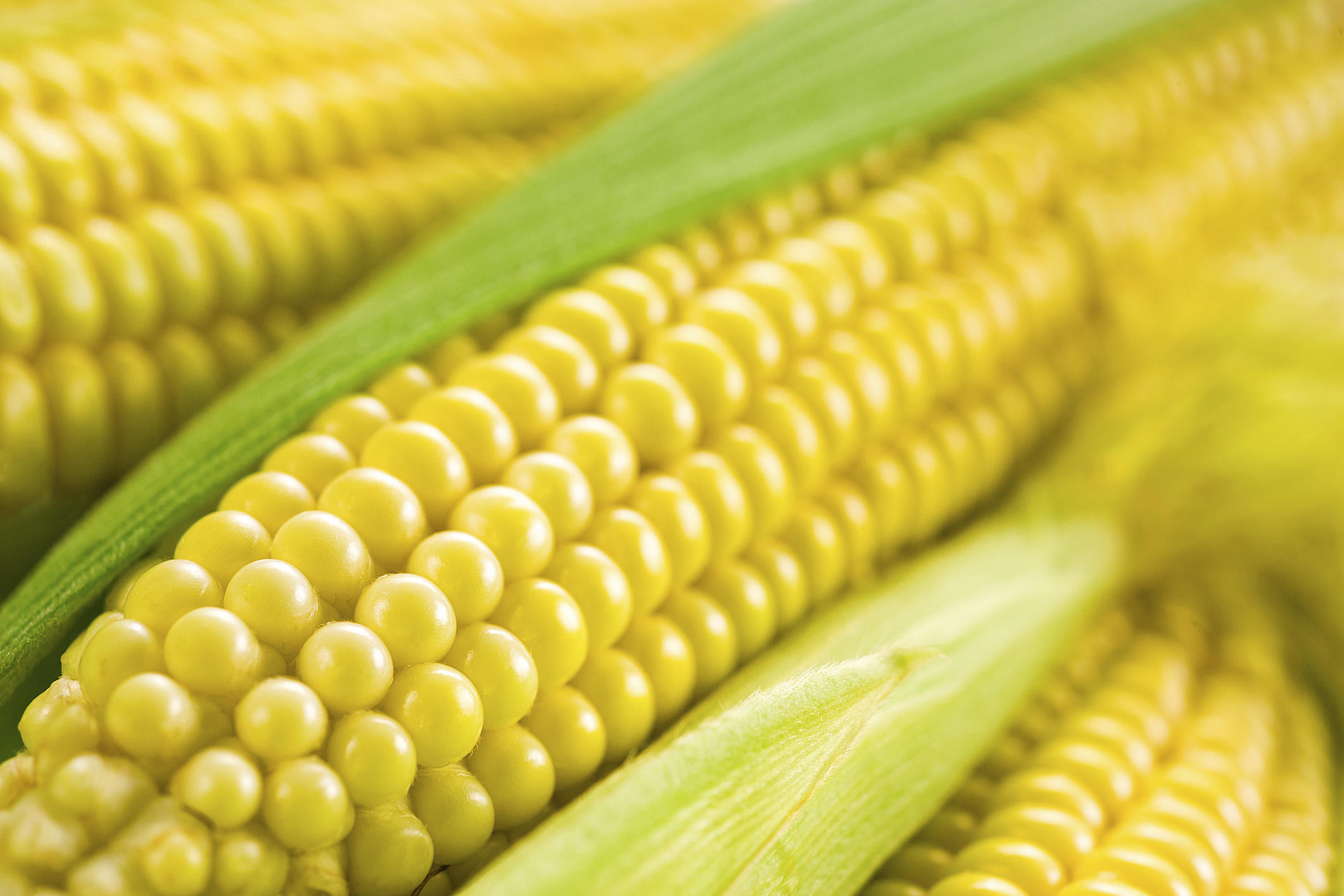 what-is-honey-dipped-sweet-corn
