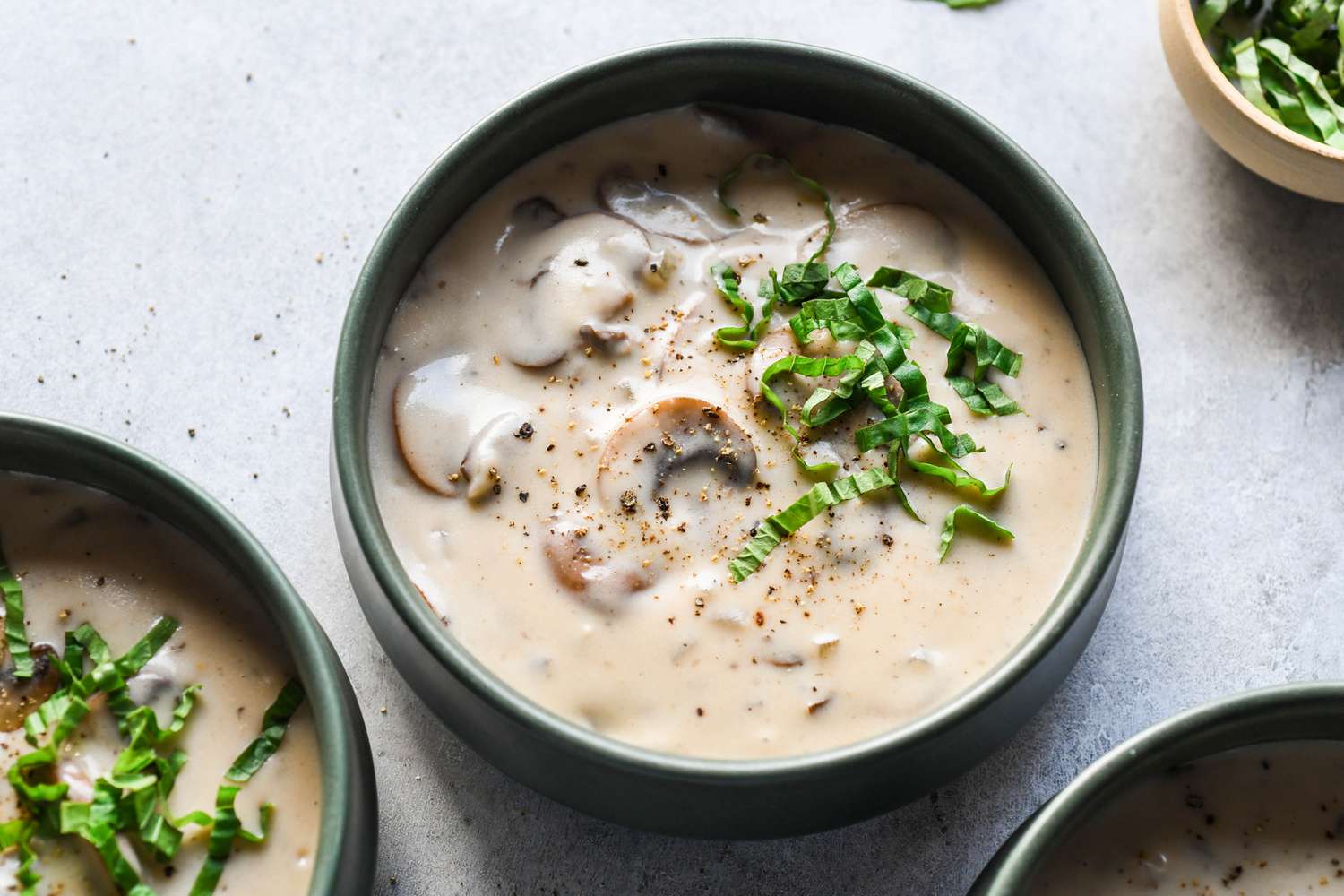 what-is-hungarian-mushroom-soup