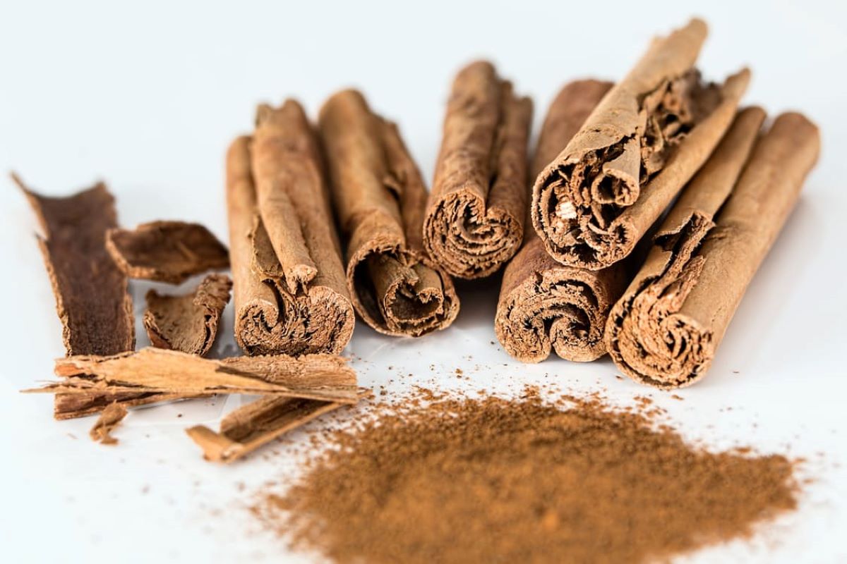 what-is-mexican-cinnamon