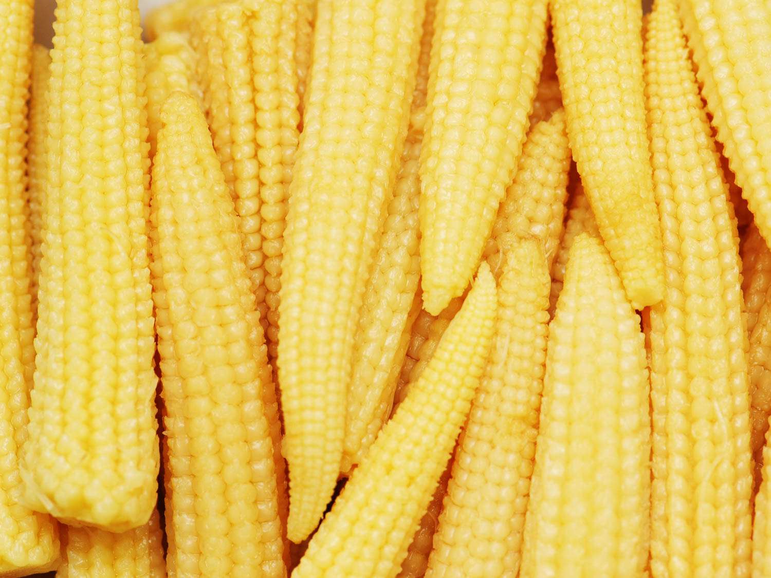 what-is-mini-corn