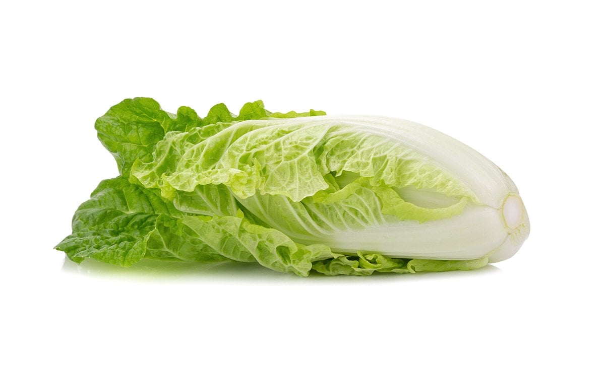 what-is-napa-lettuce