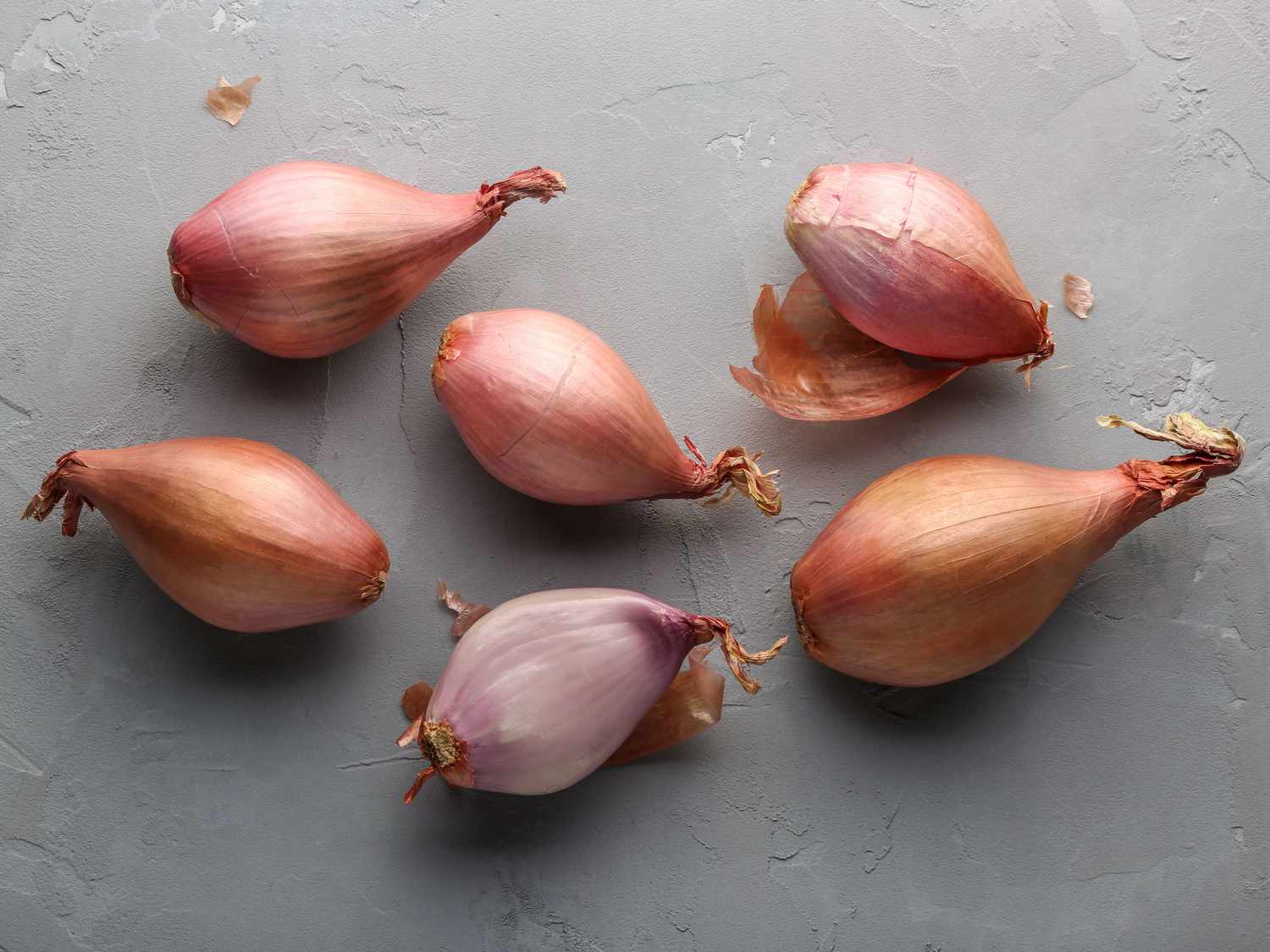 what-is-one-shallot