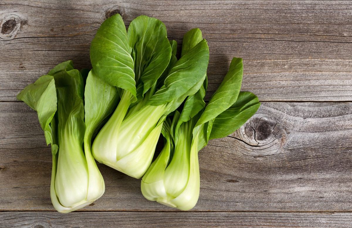what-is-pac-choi