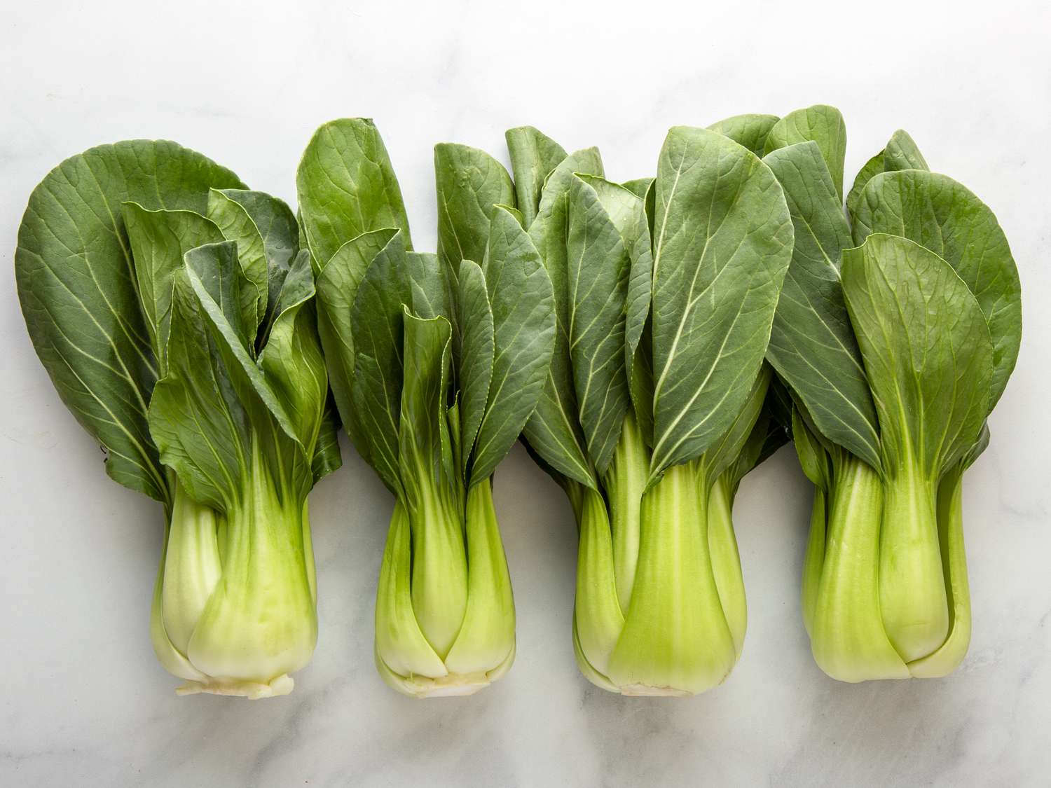 what-is-pak-choi