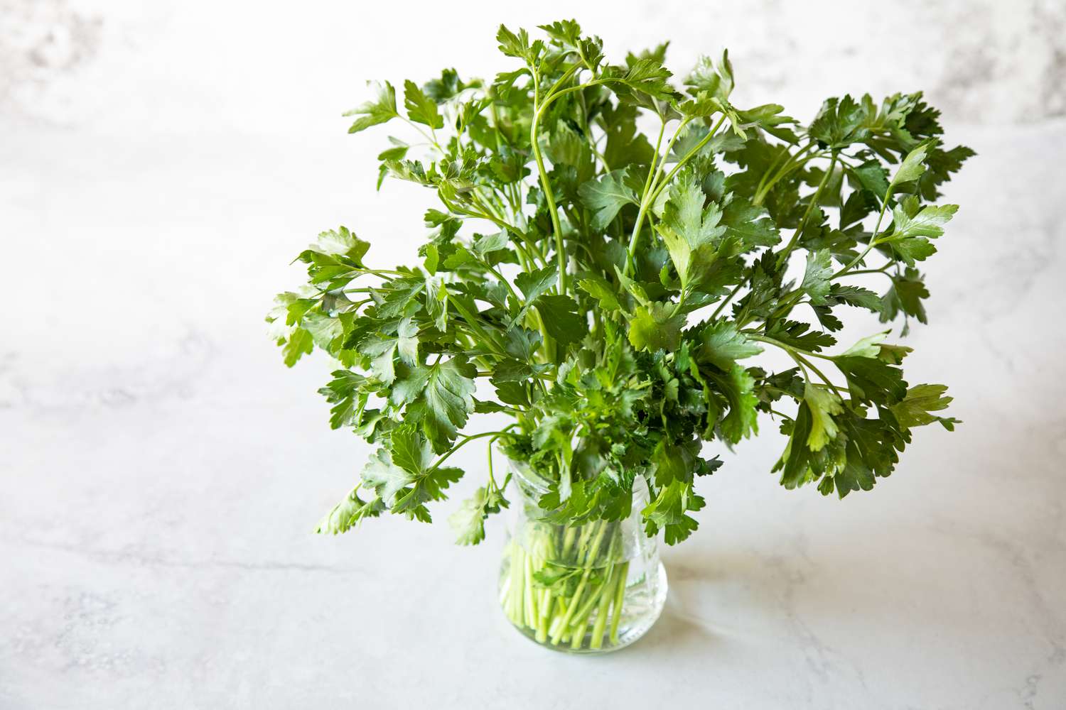 what-is-parsley