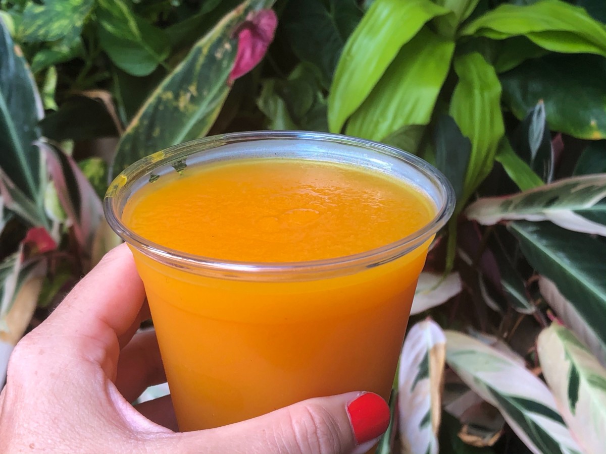 what-is-pog-juice-at-disney