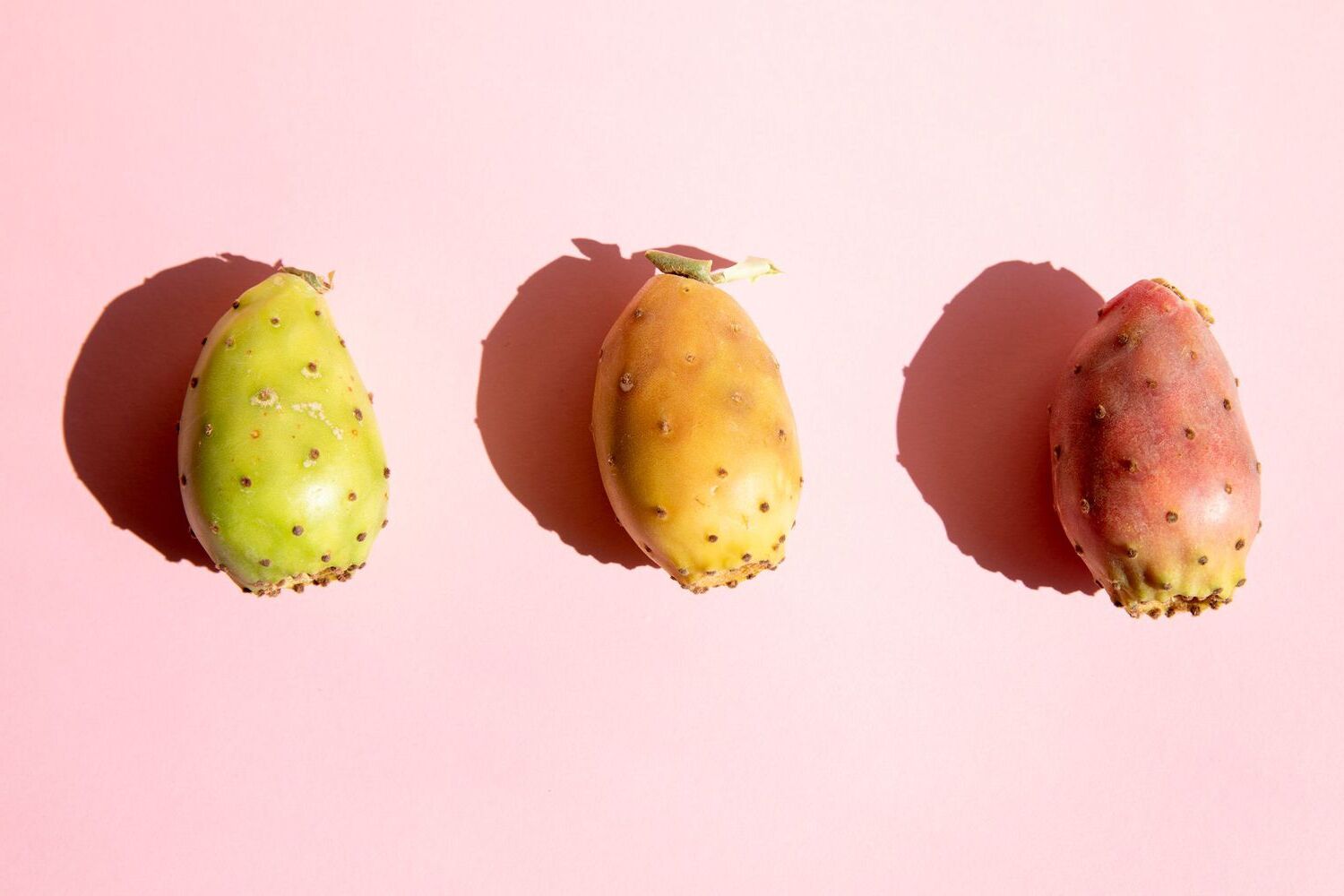 what-is-prickly-pear