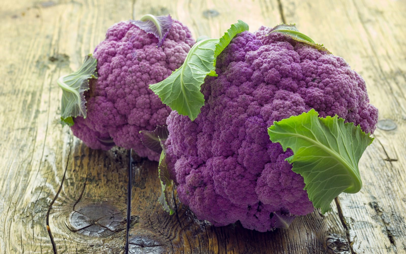 what-is-purple-cauliflower