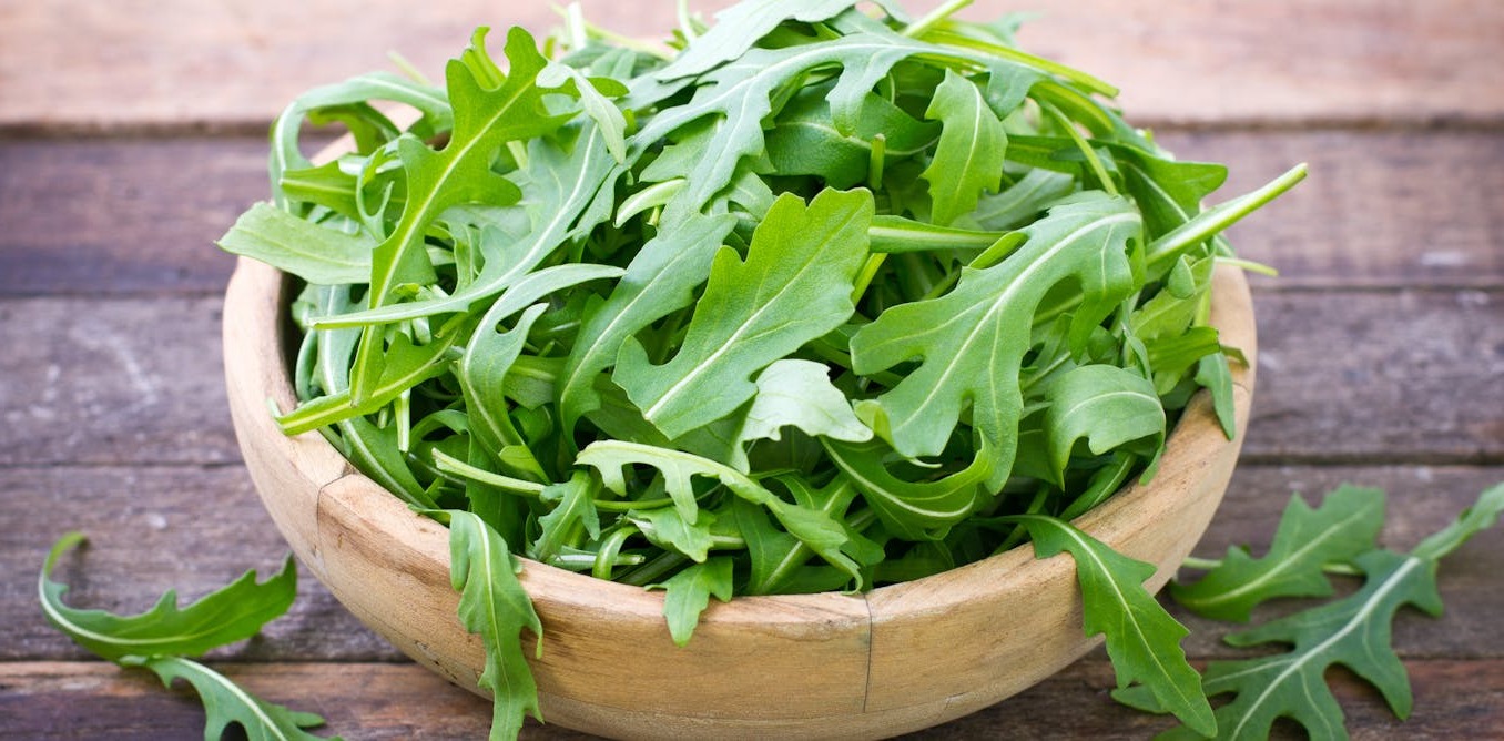 what-is-rucola