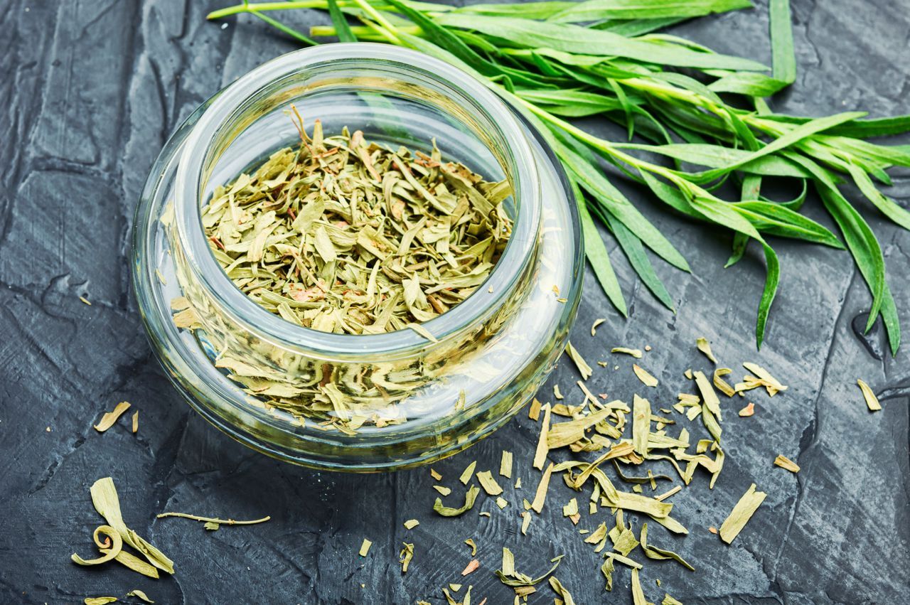 what-is-tarragon