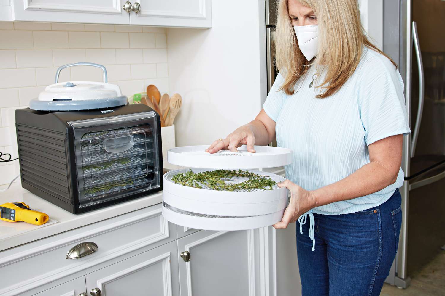 what-is-the-best-dehydrator