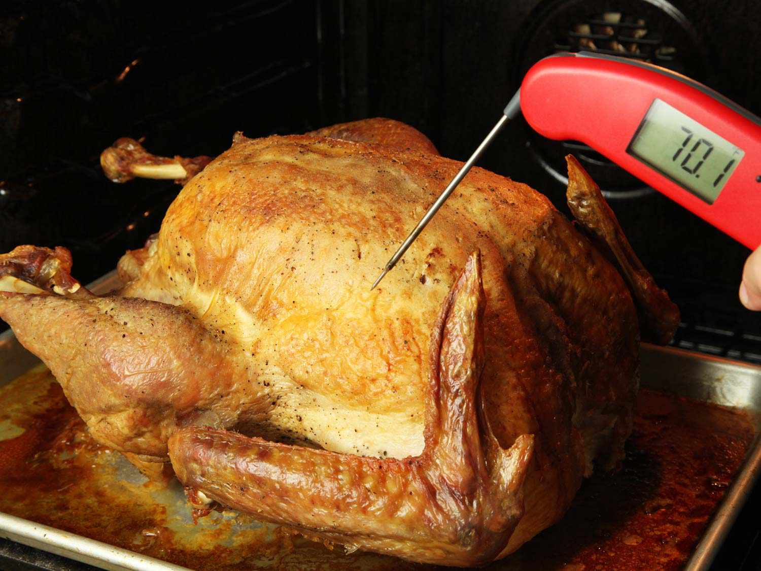 what-is-the-correct-cooked-turkey-temperature