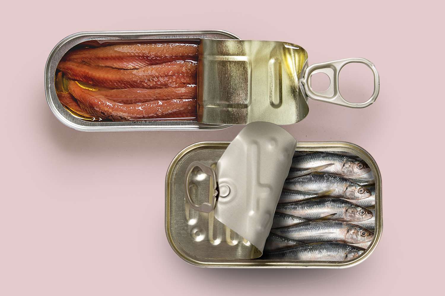 what-is-the-difference-between-anchovies-and-sardines