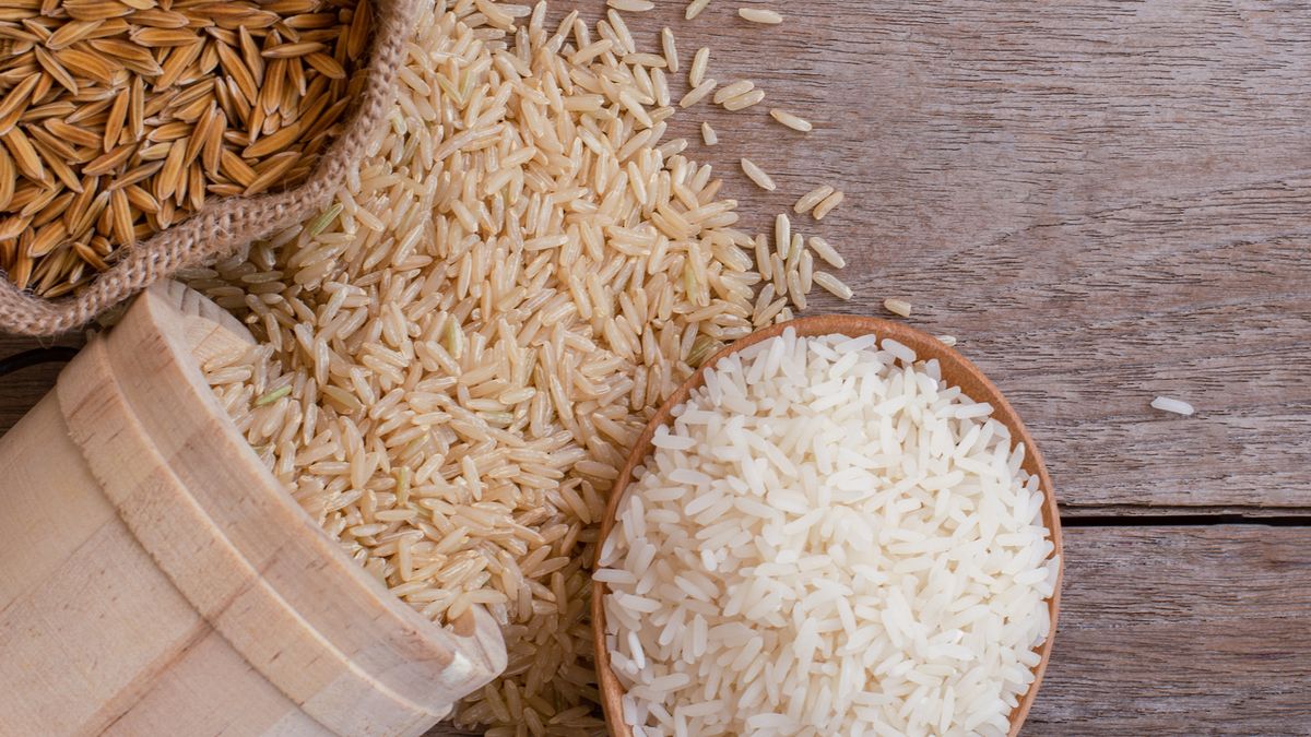 What Is the Difference Between Basmati Vs Jasmine Rice