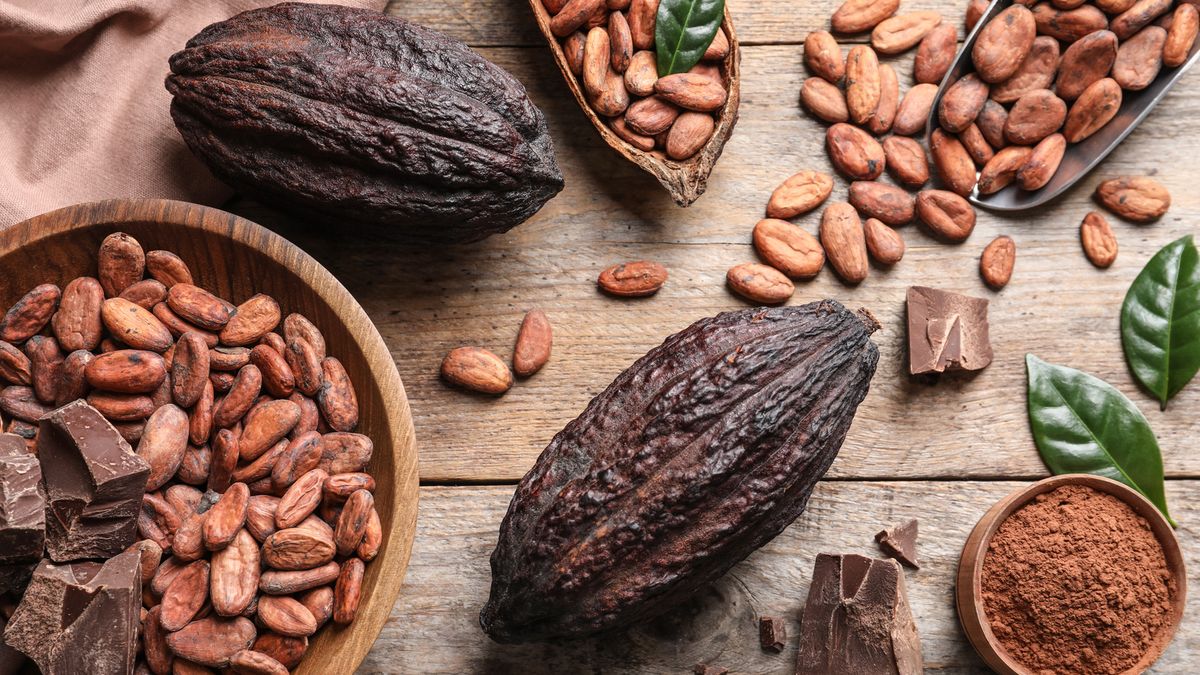 what-is-the-difference-between-cacao-vs-cocoa
