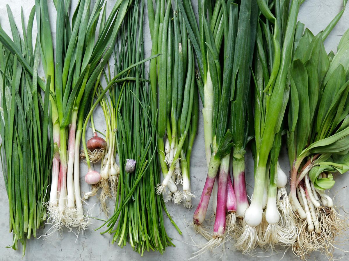 What Is the Difference Between Chives Vs Scallions - Recipes.net