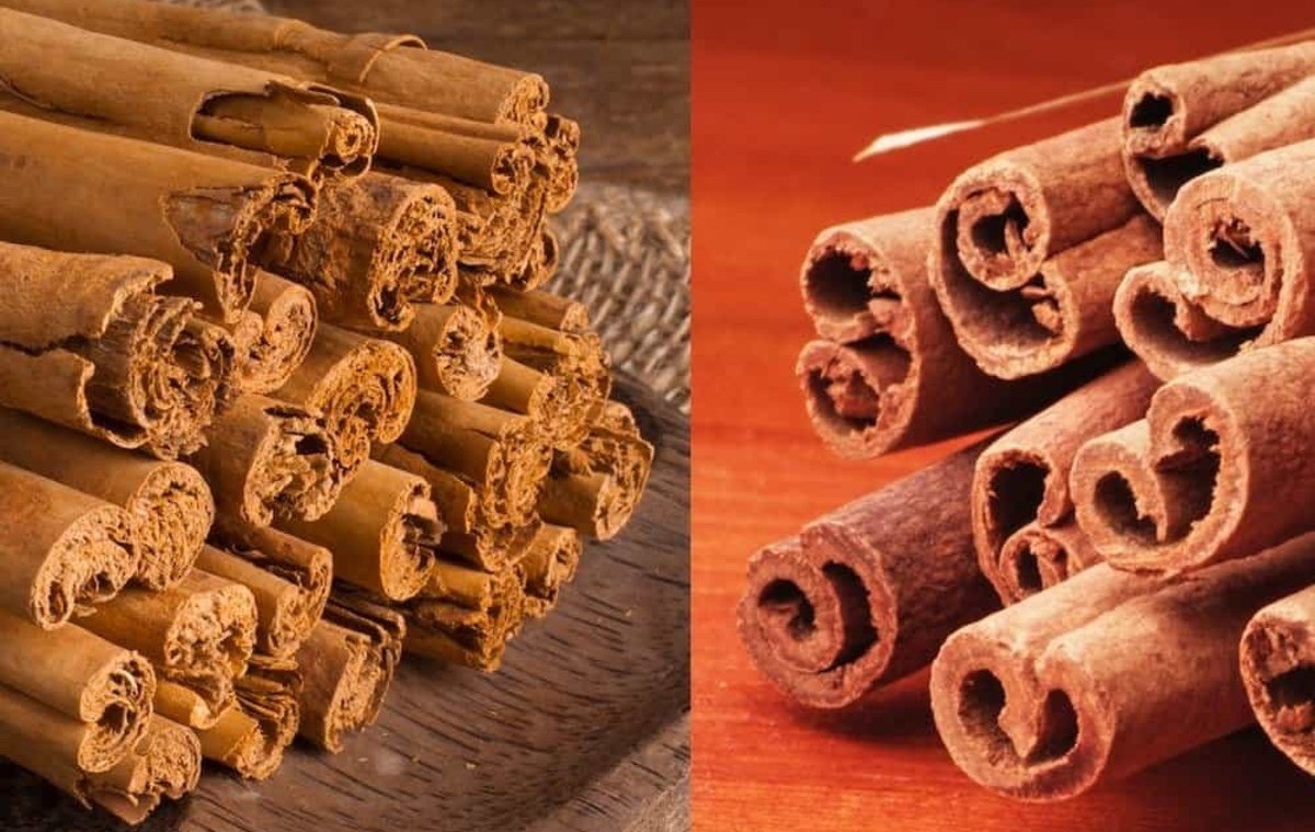 what-is-the-difference-between-cinnamon-and-ceylon-cinnamon