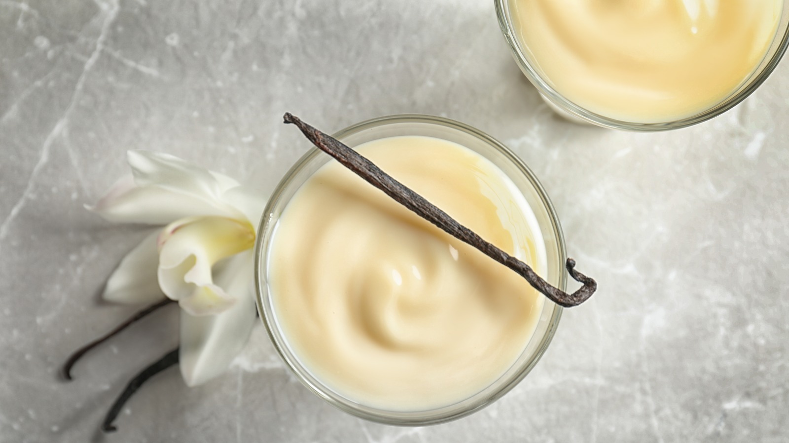 what-is-the-difference-between-custard-vs-pudding
