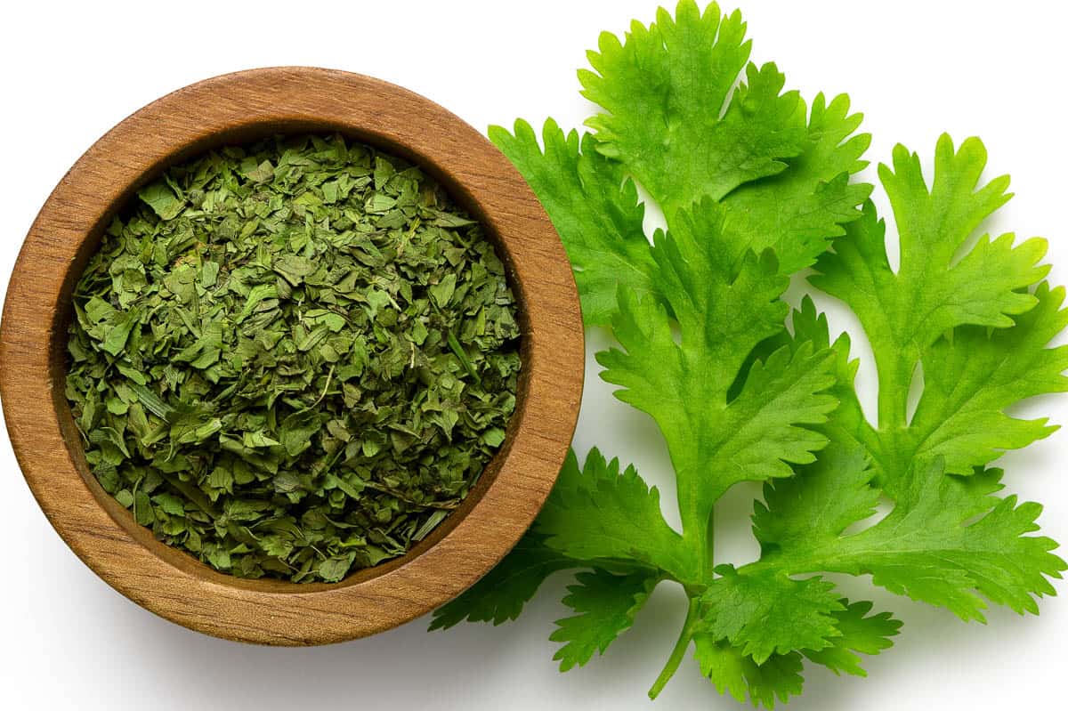 what-is-the-difference-between-dried-cilantro-vs-fresh