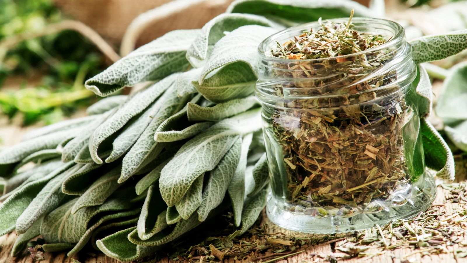 what-is-the-difference-between-dried-sage-vs-ground-sage