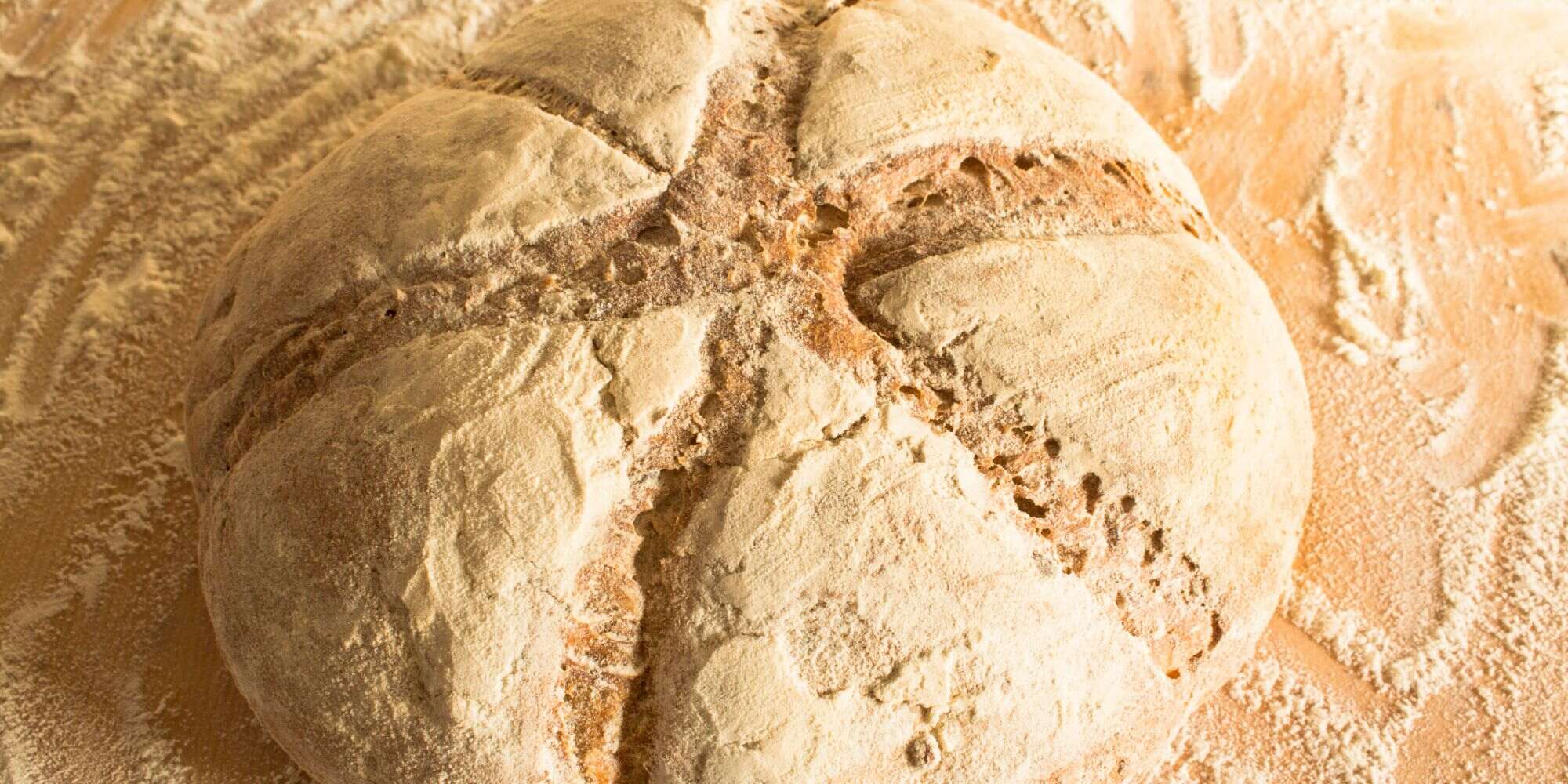 what-is-the-difference-between-high-gluten-flour-vs-bread-flour