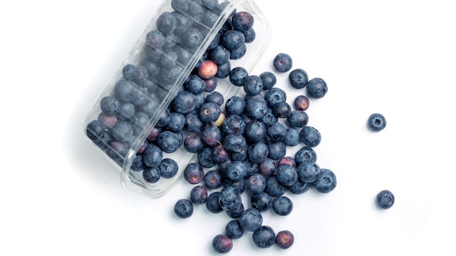 what-is-the-difference-between-huckleberry-vs-blueberry