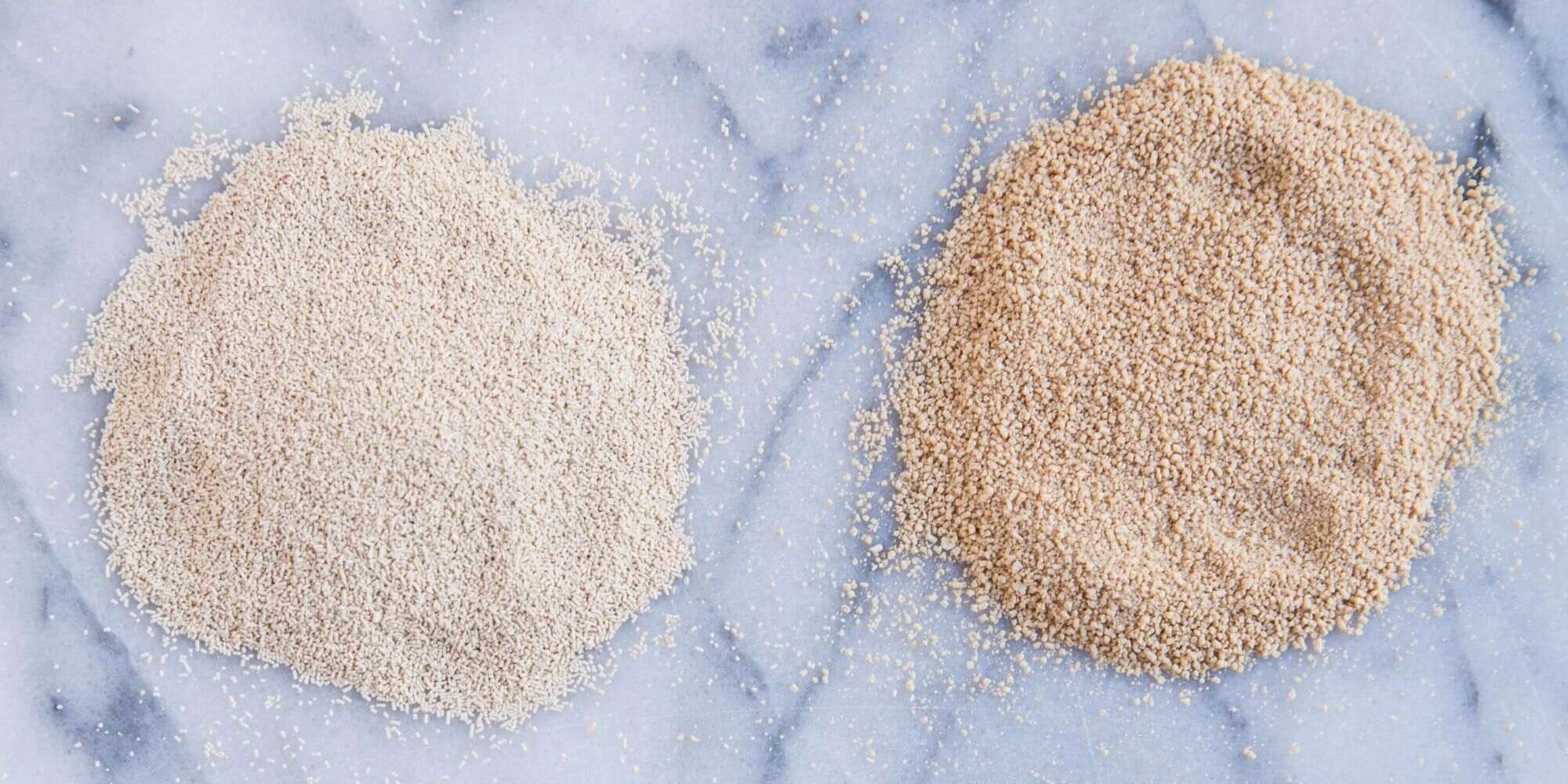 what-is-the-difference-between-instant-yeast-vs-active-dry-yeast