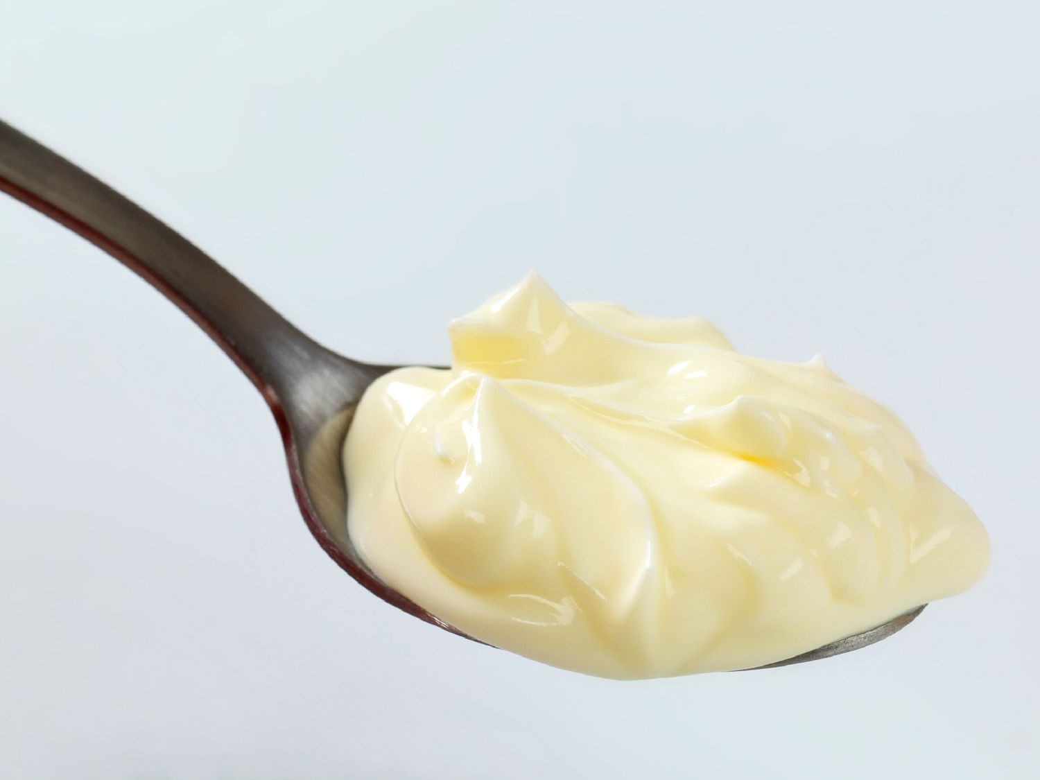 what-is-the-difference-between-mayo-and-mayonnaise
