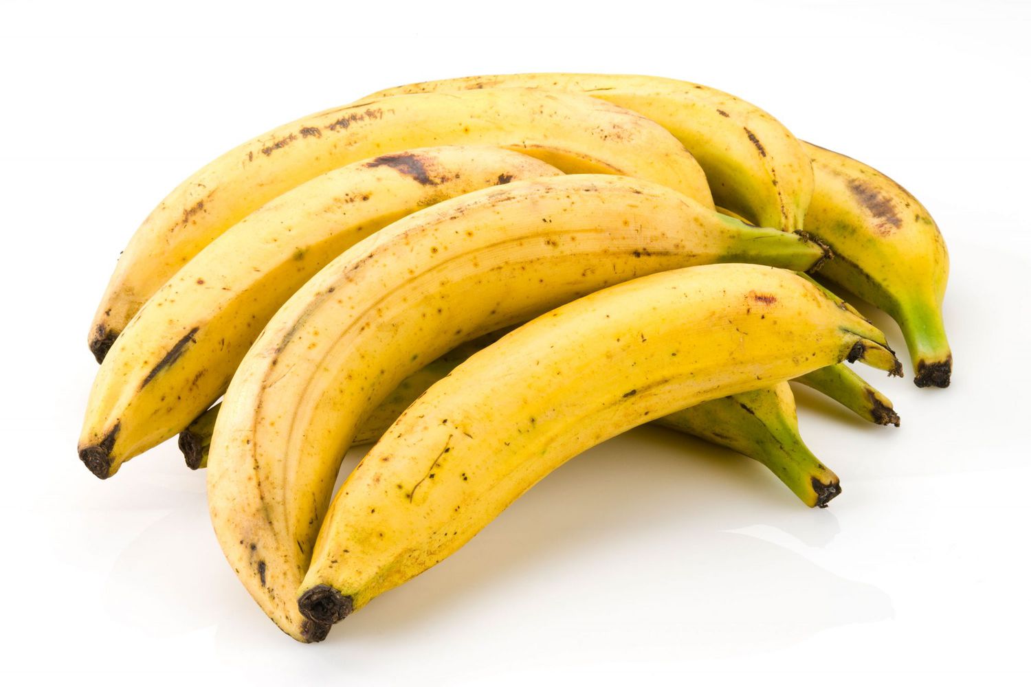 what-is-the-difference-between-plantain-and-banana