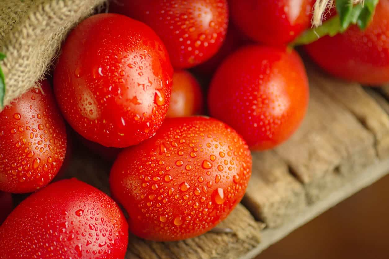 what-is-the-difference-between-plum-tomatoes-and-roma