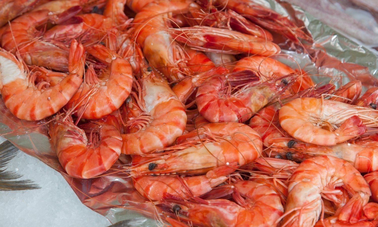 what-is-the-difference-between-prawns-vs-shrimp
