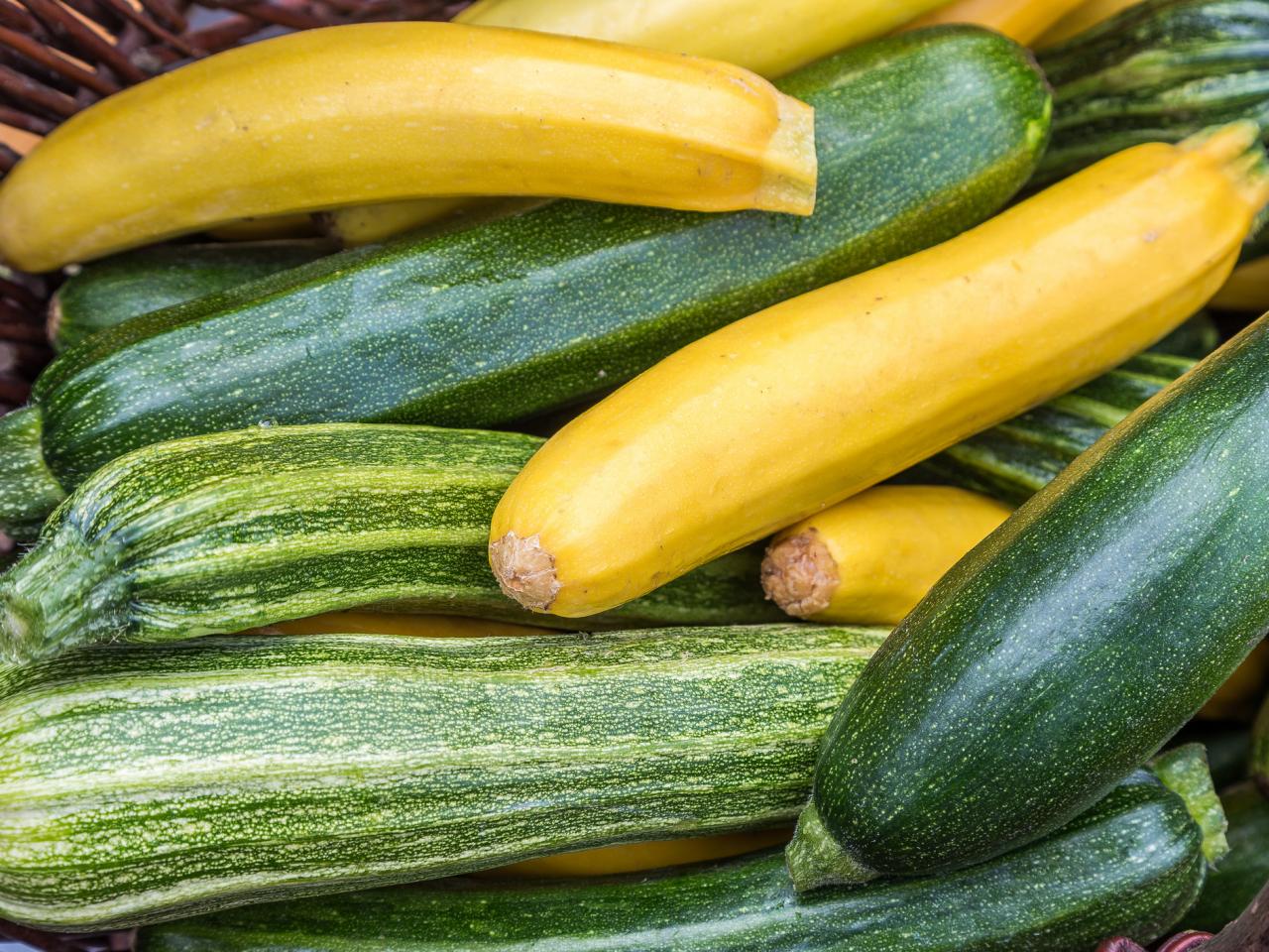 what-is-the-difference-between-squash-and-zucchini