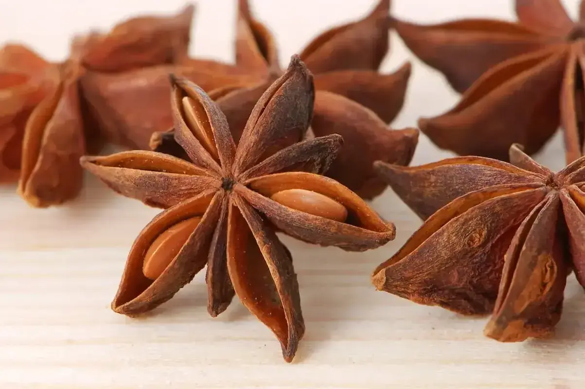 what-is-the-difference-between-star-anise-and-anise-seed