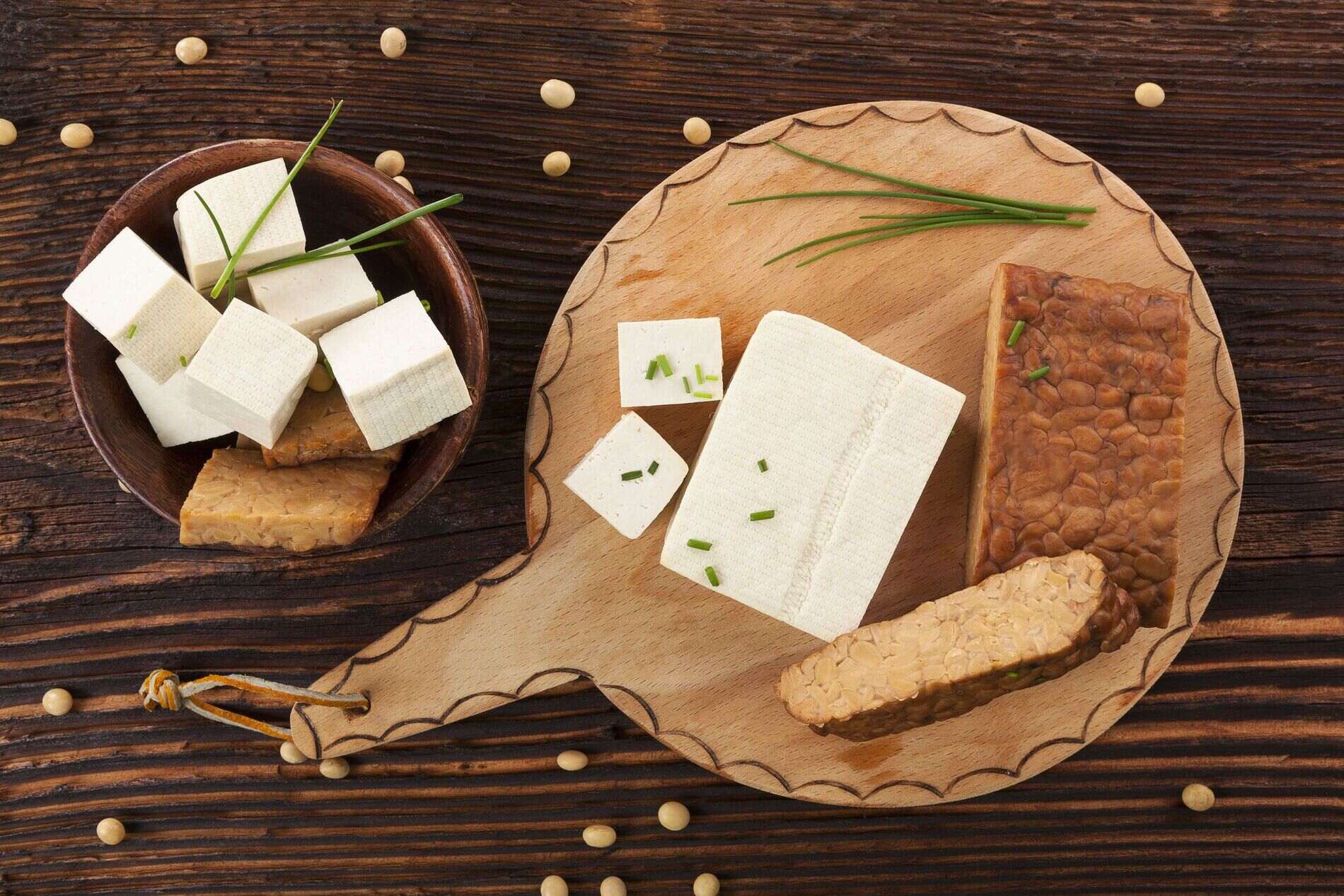 what-is-the-difference-between-tofu-and-tempeh