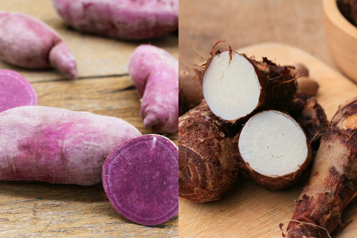 what-is-the-difference-between-ube-and-taro