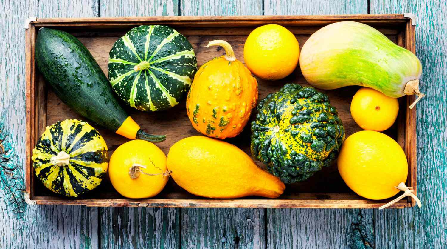 what-is-the-difference-between-winter-squash-and-summer-squash