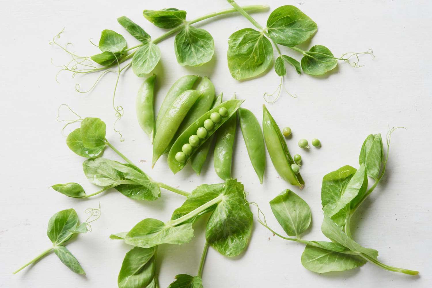 what-is-the-nutrition-in-pea-shoots