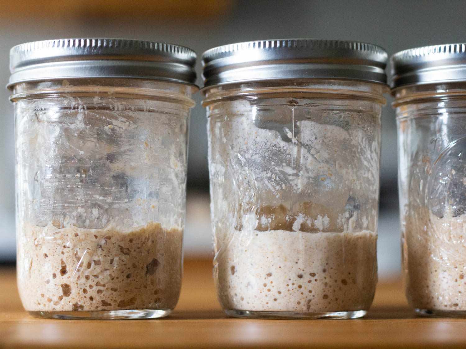 what-is-the-ratio-for-feeding-a-sourdough-starter