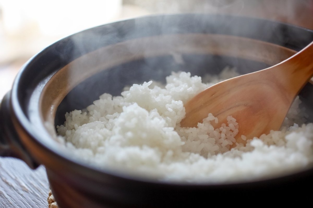 what-is-the-rice-to-water-ratio