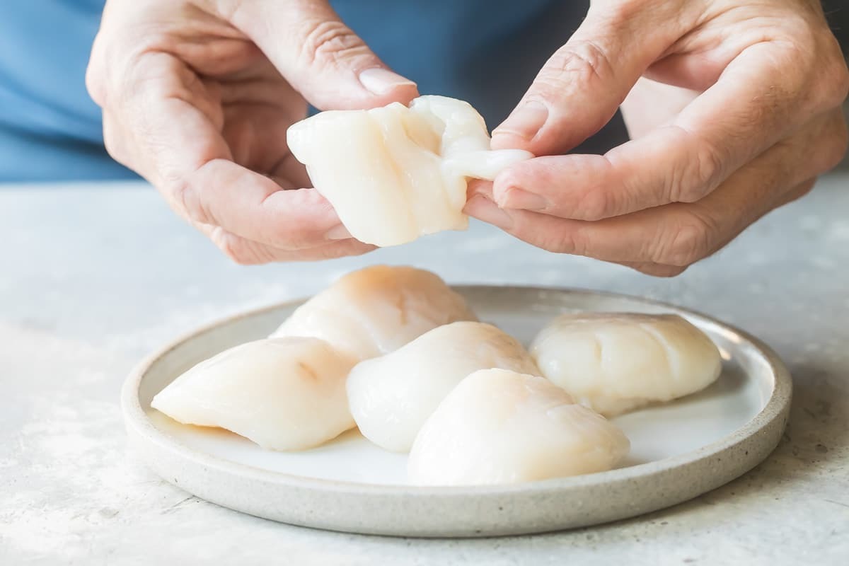 what-is-the-side-muscle-on-scallops