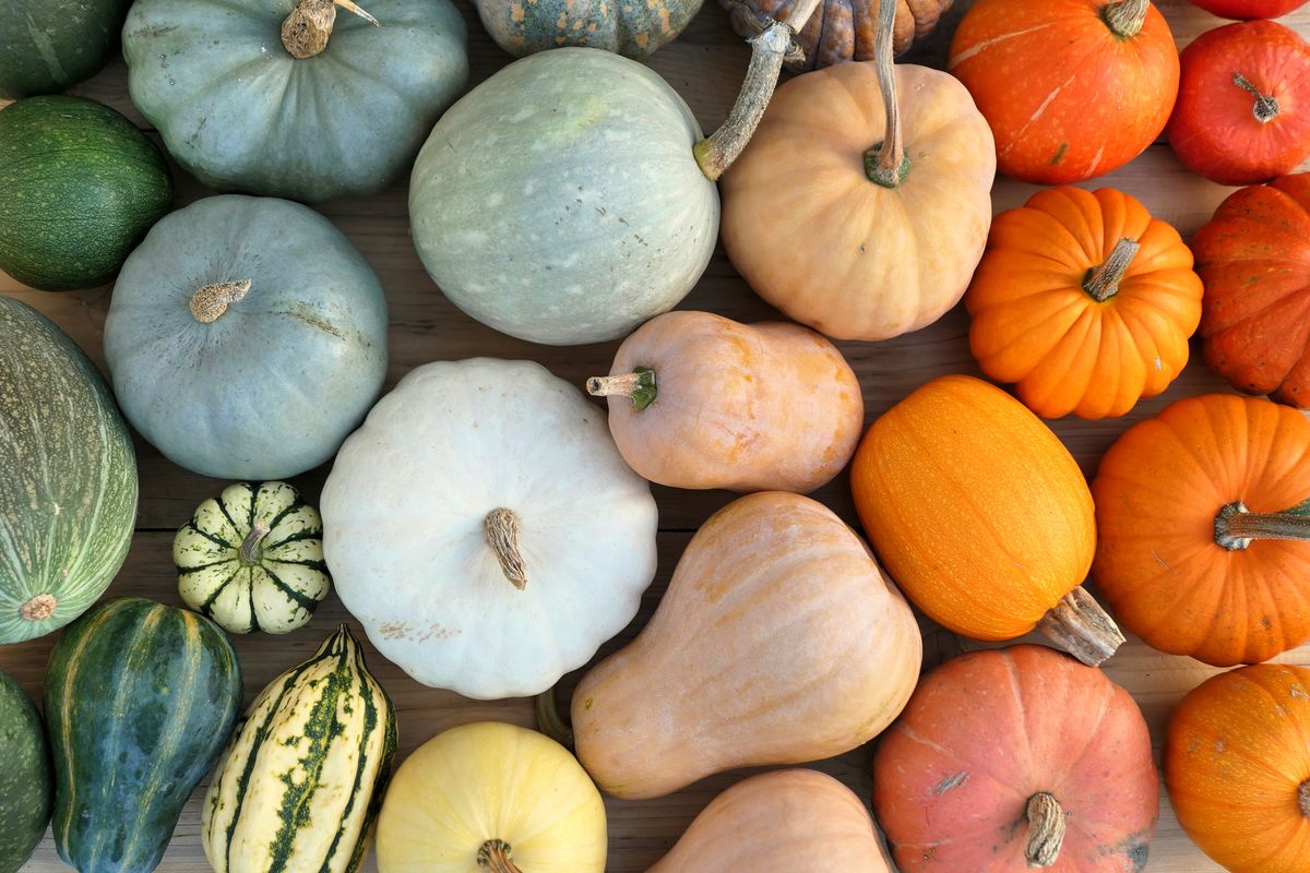 what-is-winter-squash