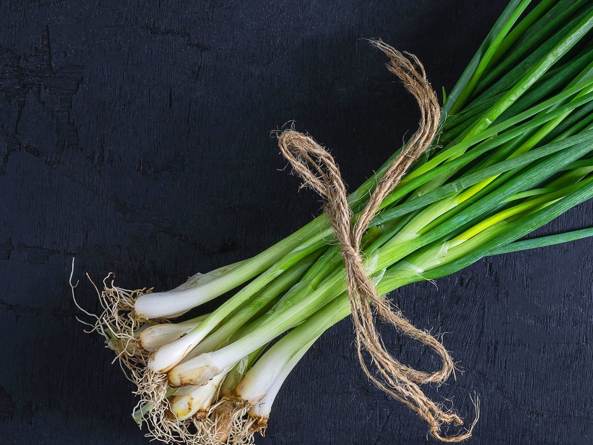 what-is-a-scallion