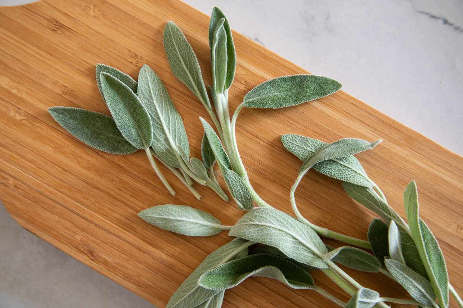what-is-sage-used-for-in-cooking