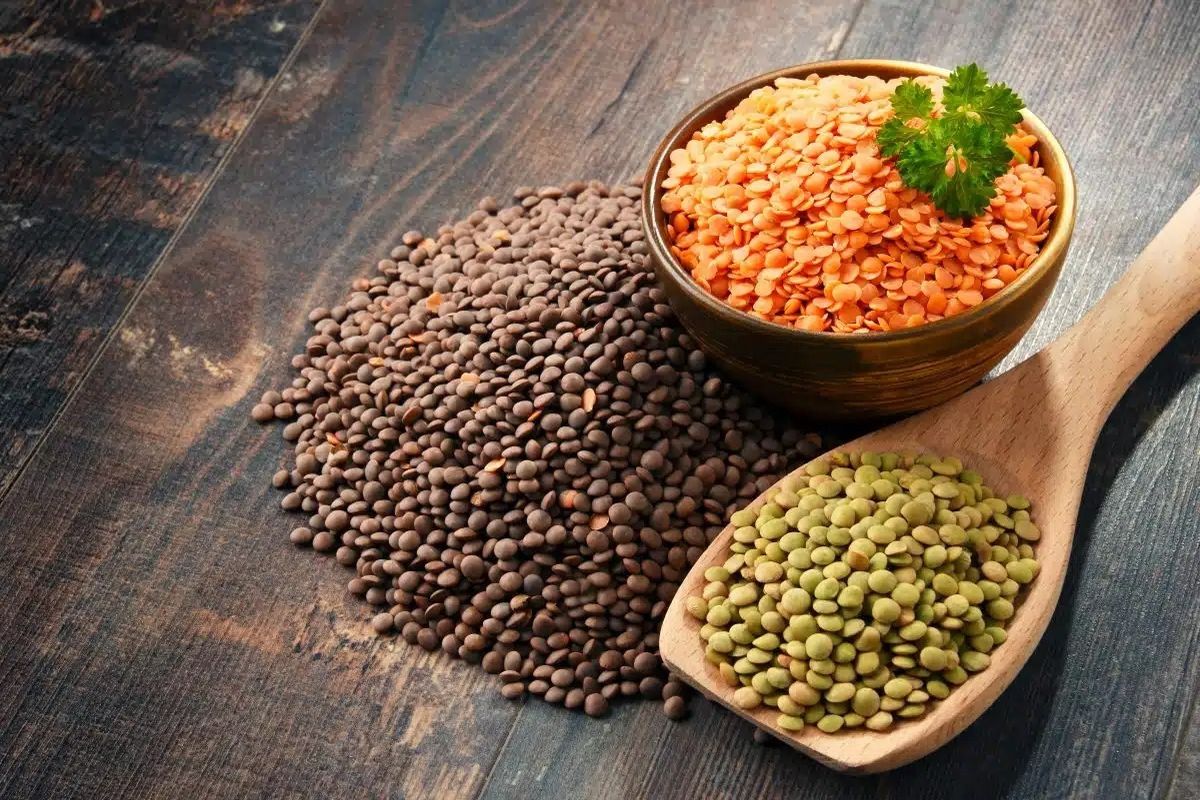 what-is-the-difference-between-red-lentils-vs-green-lentils