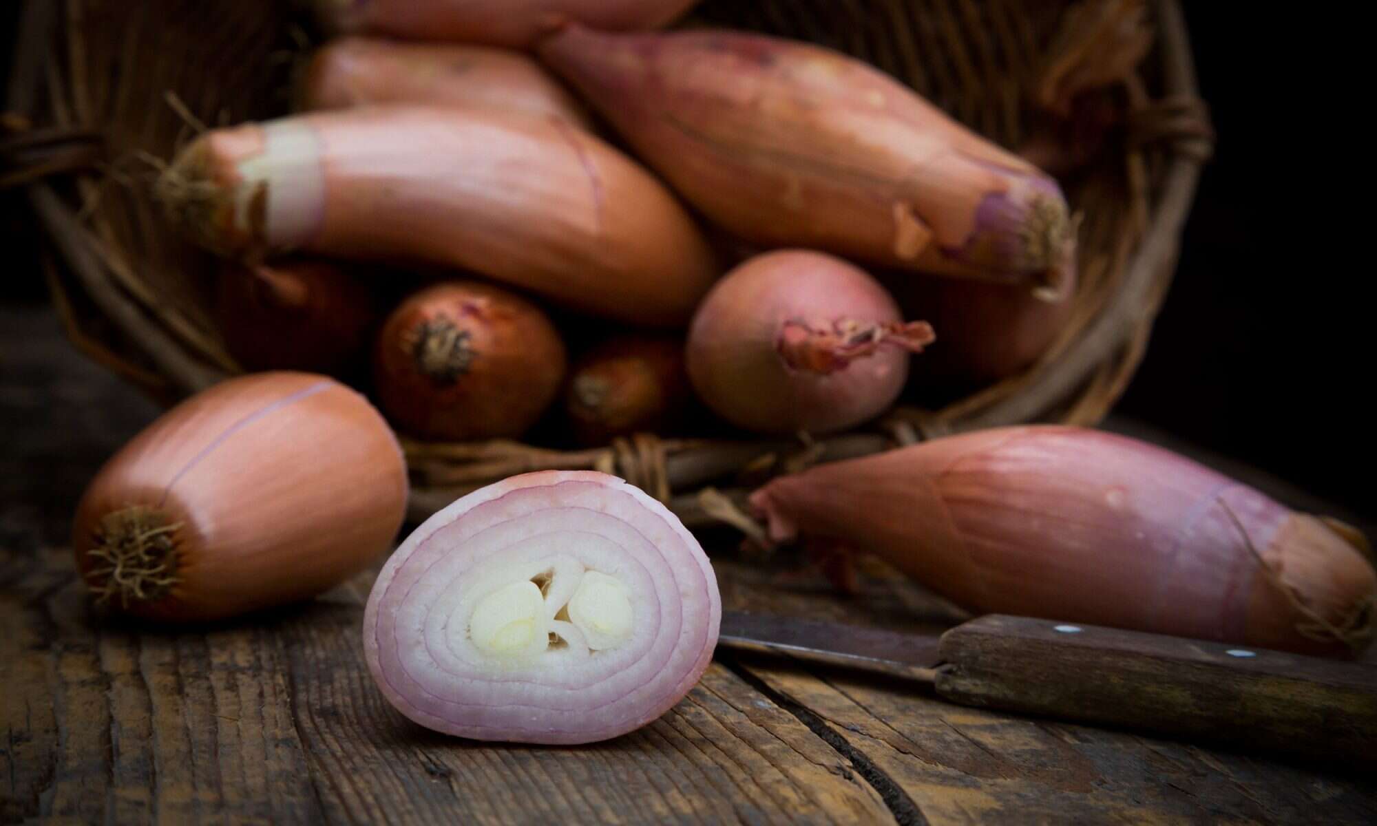 what-is-the-difference-between-shallots-and-onions